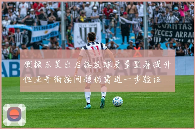 樊振东复出后接发球质量显著提升但正手衔接问题仍需进一步验证